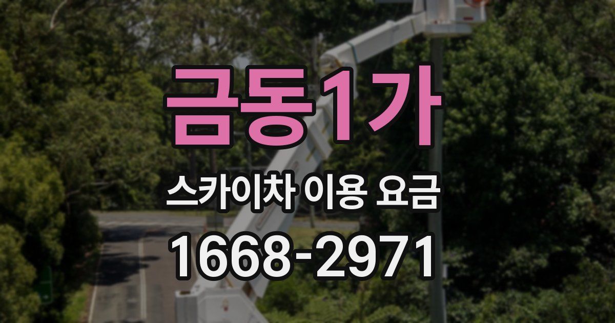 금동1가 스카이차 이용 요금