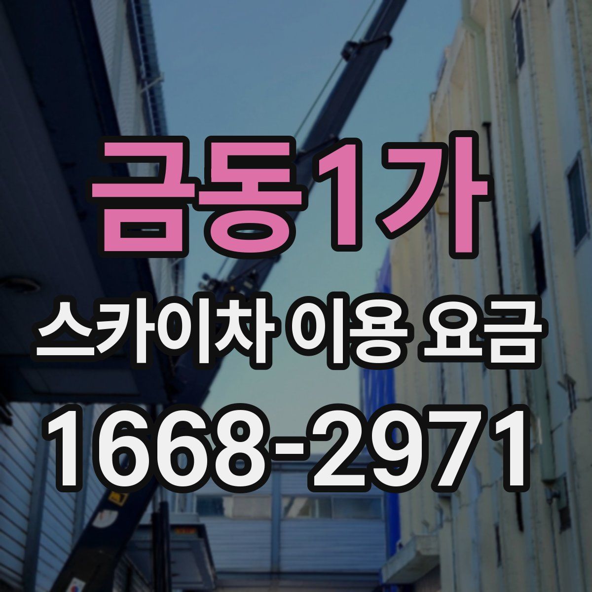 금동1가 스카이차 이용 요금