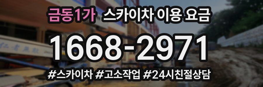 금동1가 스카이차 이용 요금