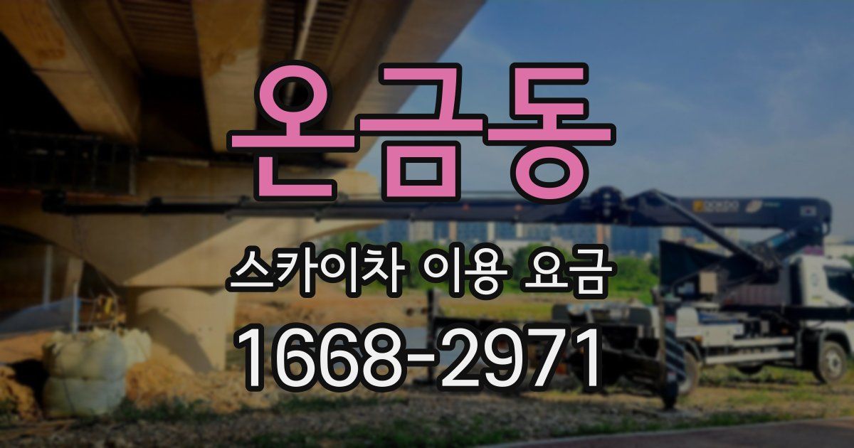 온금동 스카이차 이용 요금