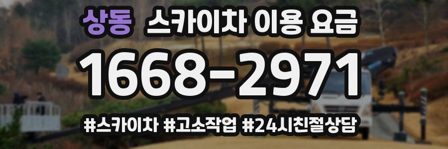 상동 스카이차 이용 요금