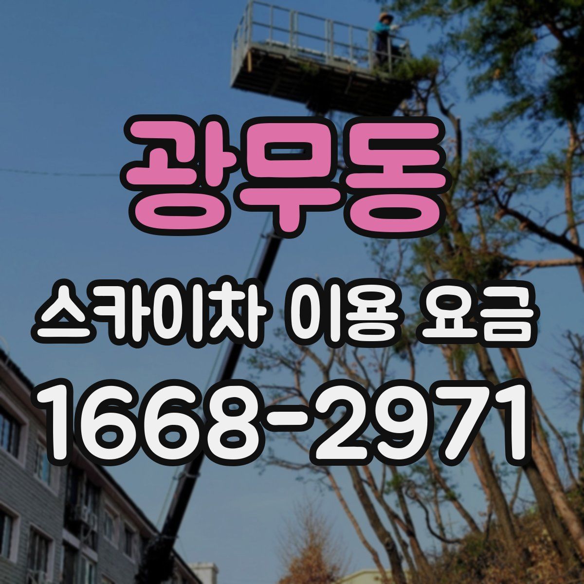 광무동 스카이차 이용 요금