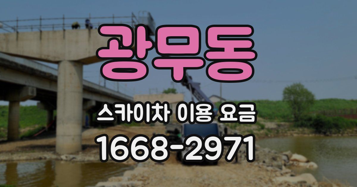 광무동 스카이차 이용 요금