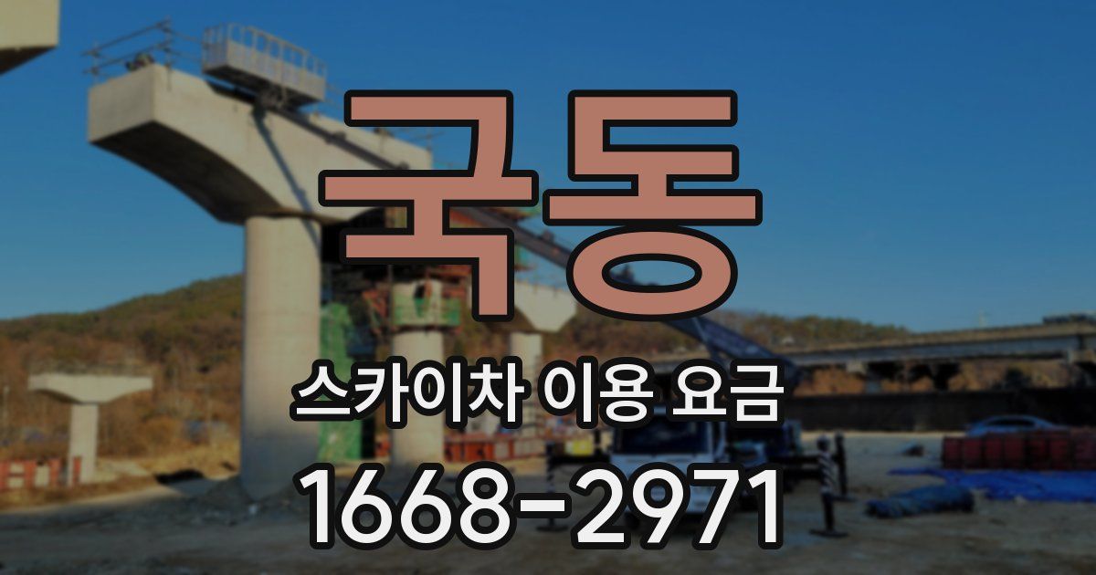 국동 스카이차 이용 요금