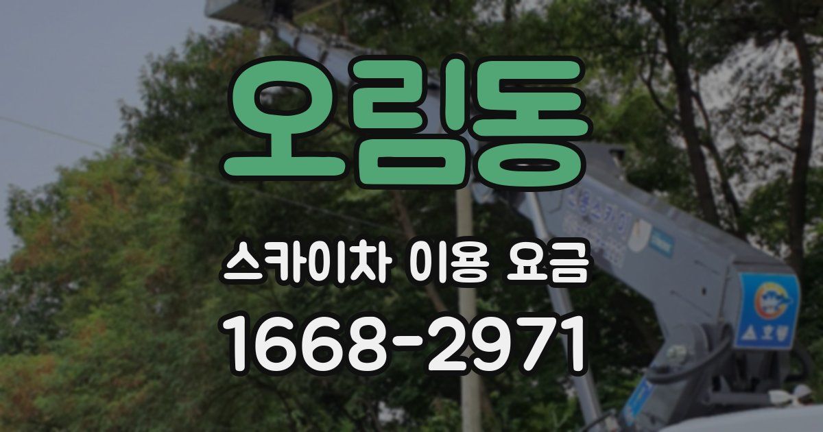 오림동 스카이차 이용 요금
