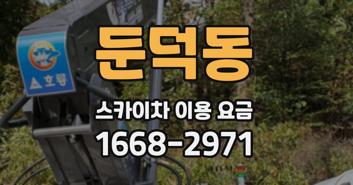 둔덕동 스카이차 이용 요금