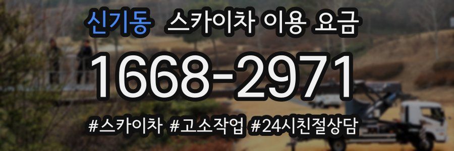 신기동 스카이차 이용 요금