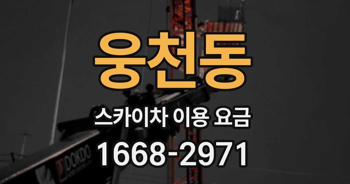 웅천동 스카이차 이용 요금
