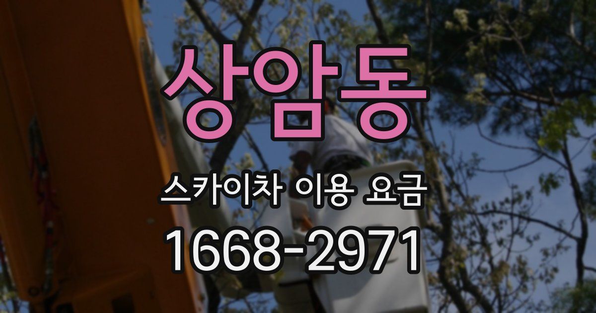 상암동 스카이차 이용 요금