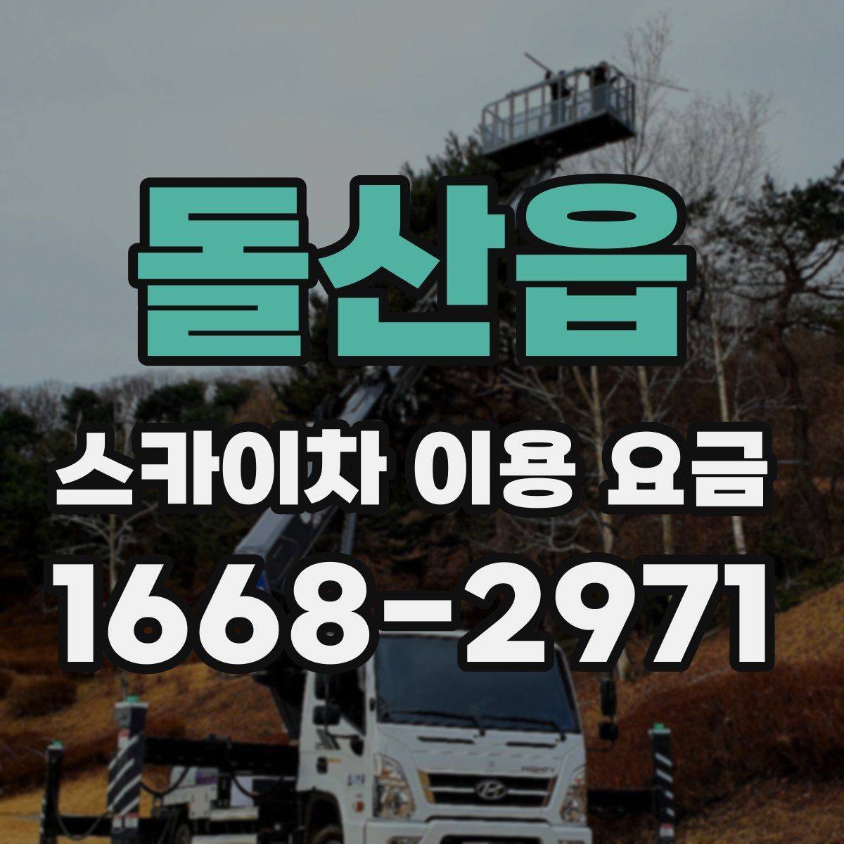 돌산읍 스카이차 이용 요금 문의할 때 유용한 체크리스트