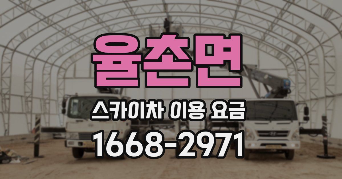 율촌면 스카이차 이용 요금