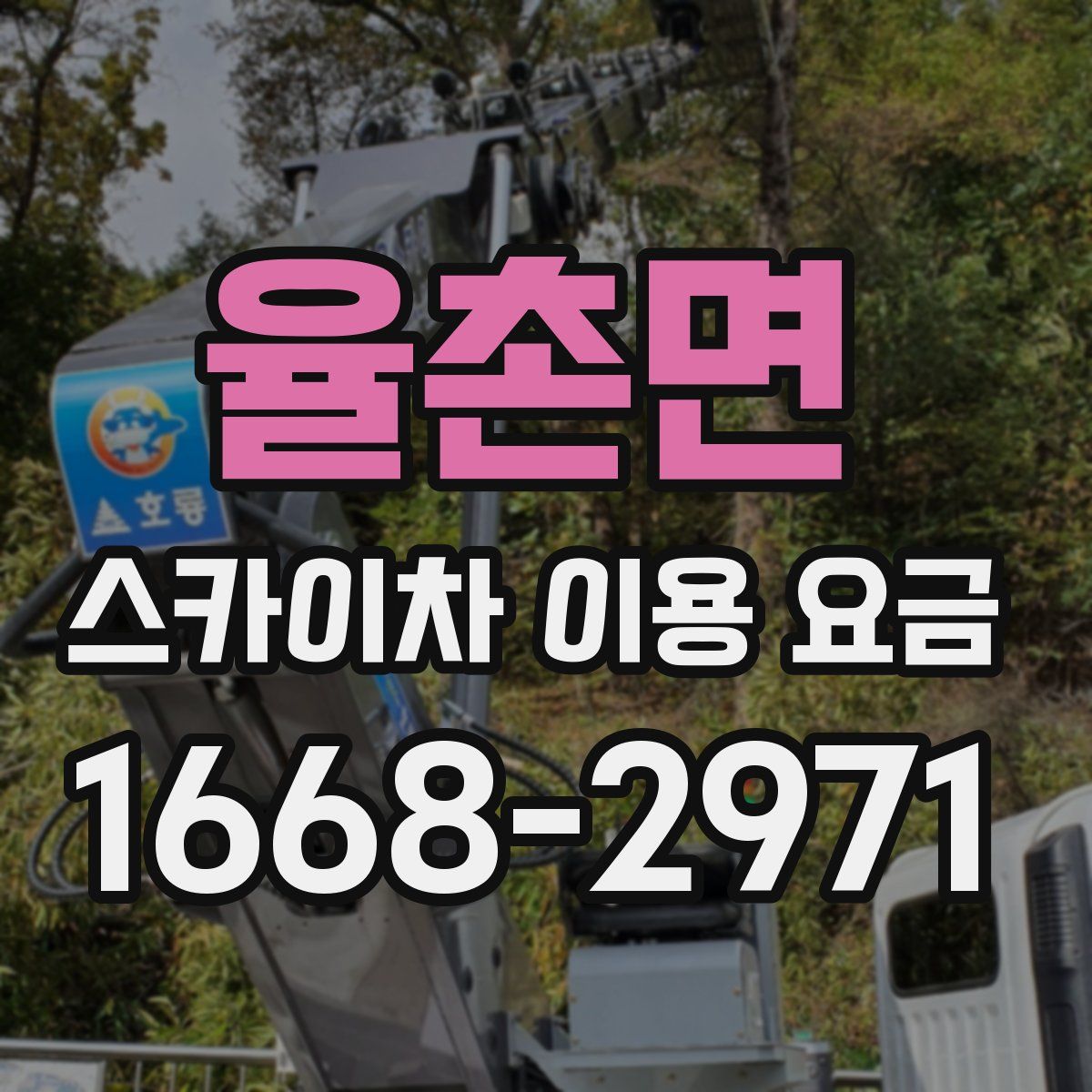 율촌면 스카이차 이용 요금