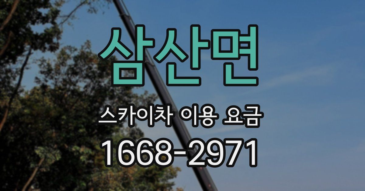 삼산면 스카이차 이용 요금