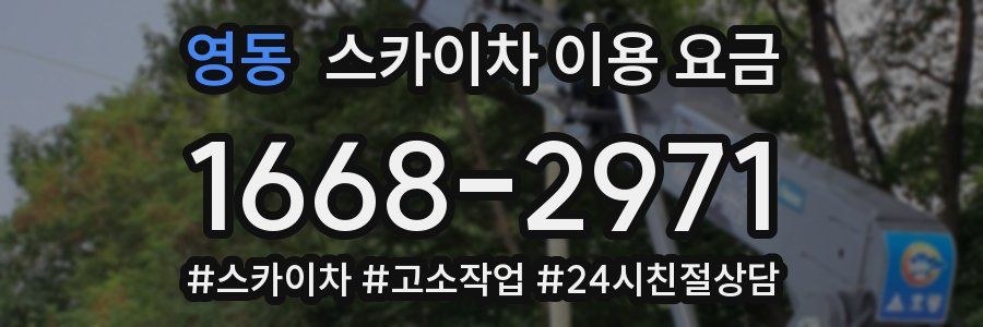 영동 스카이차 이용 요금