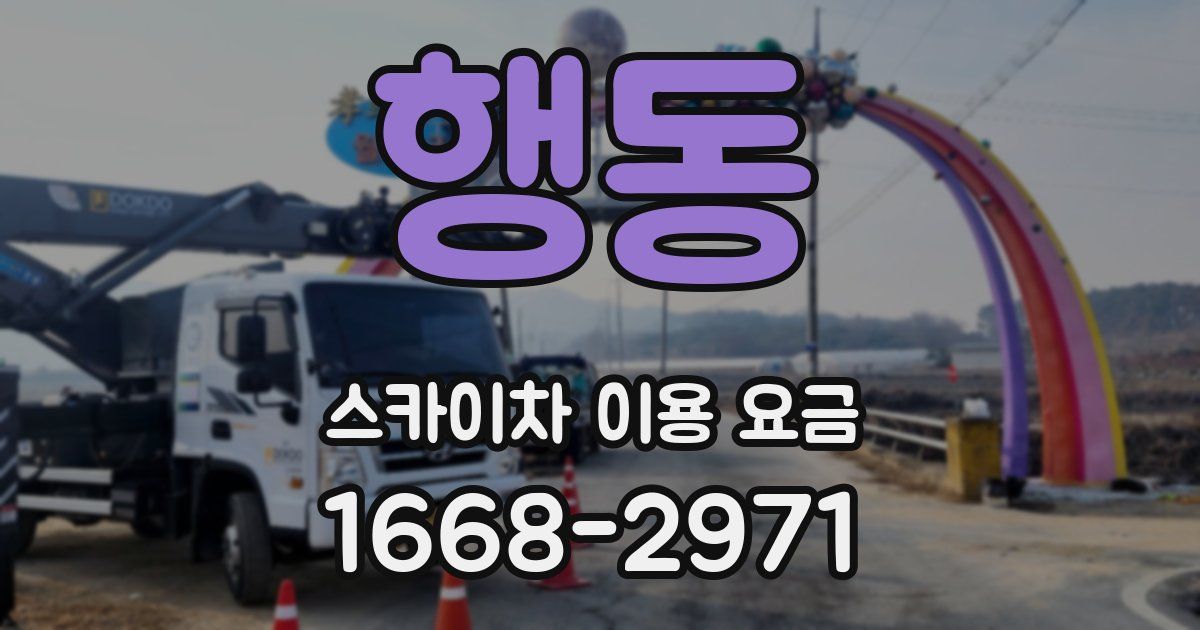 행동 스카이차 이용 요금