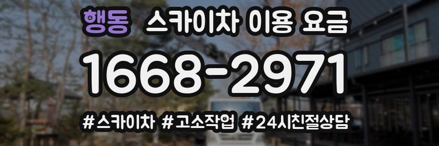 행동 스카이차 이용 요금