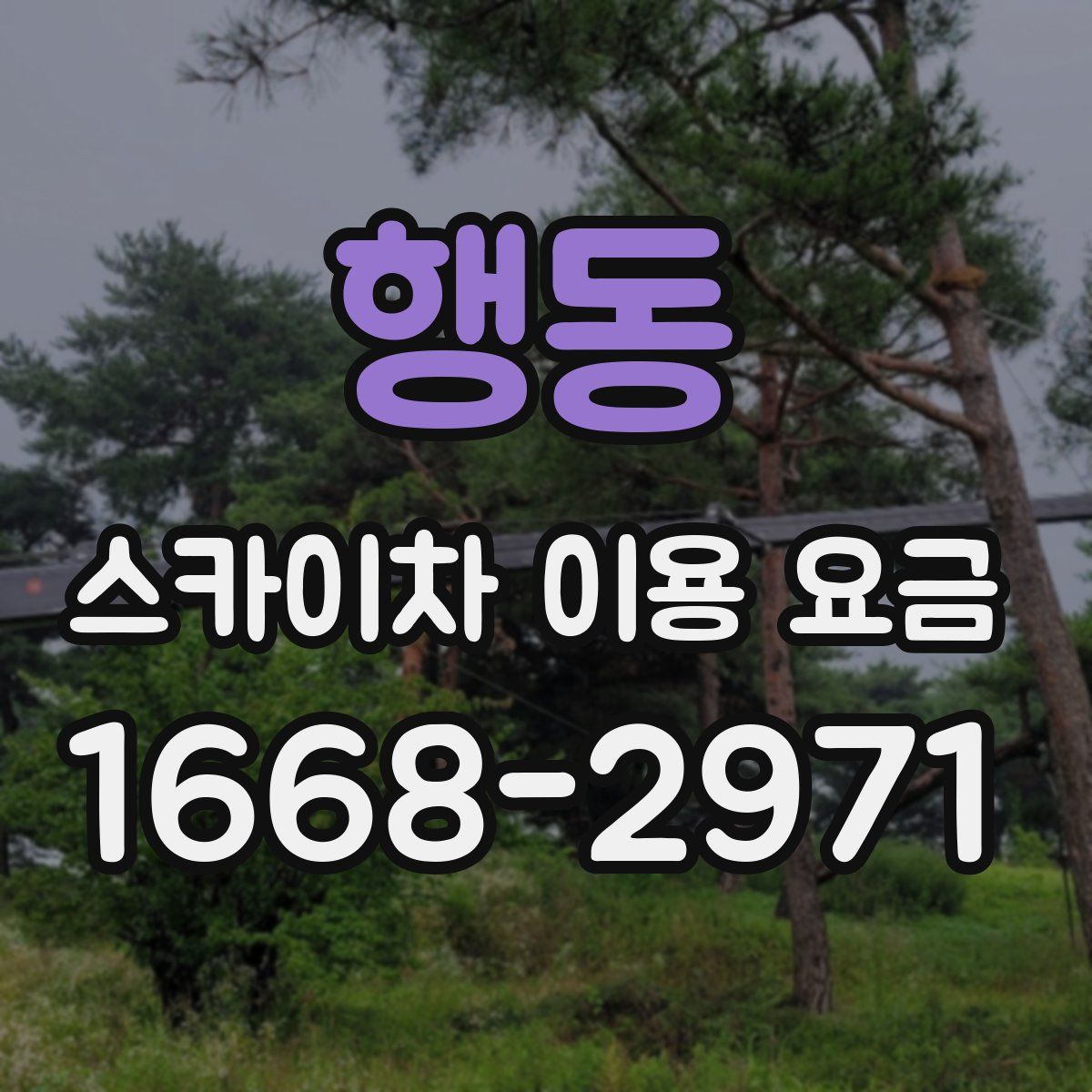 행동 스카이차 이용 요금