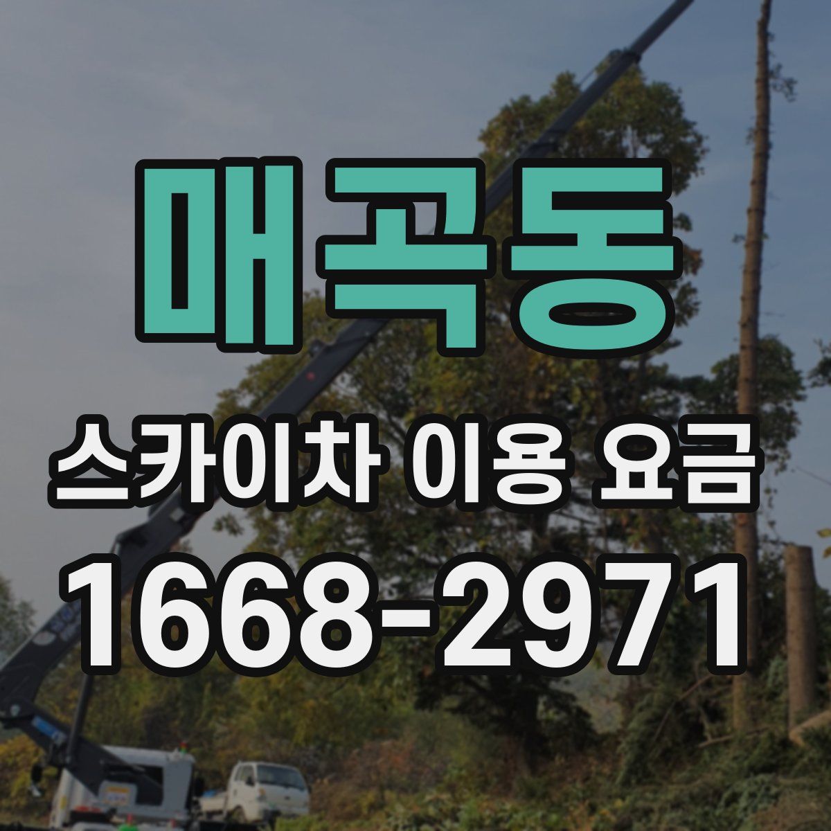 매곡동 스카이차 이용 요금