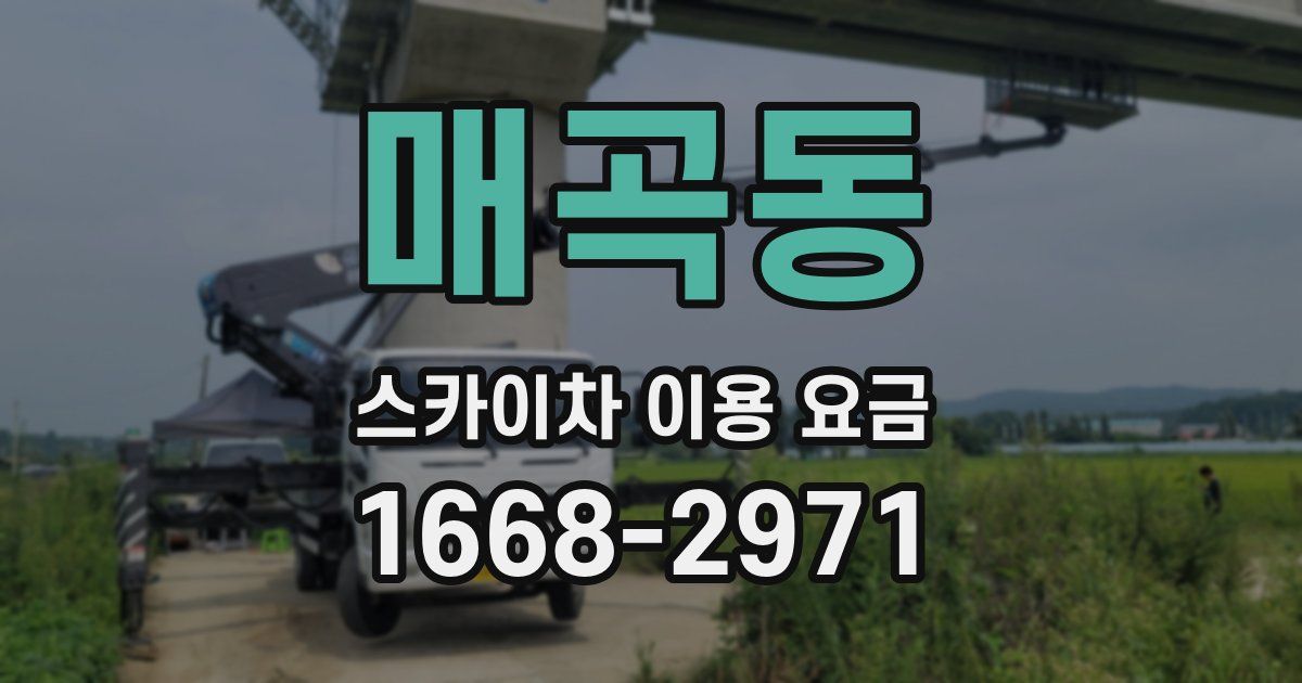 매곡동 스카이차 이용 요금