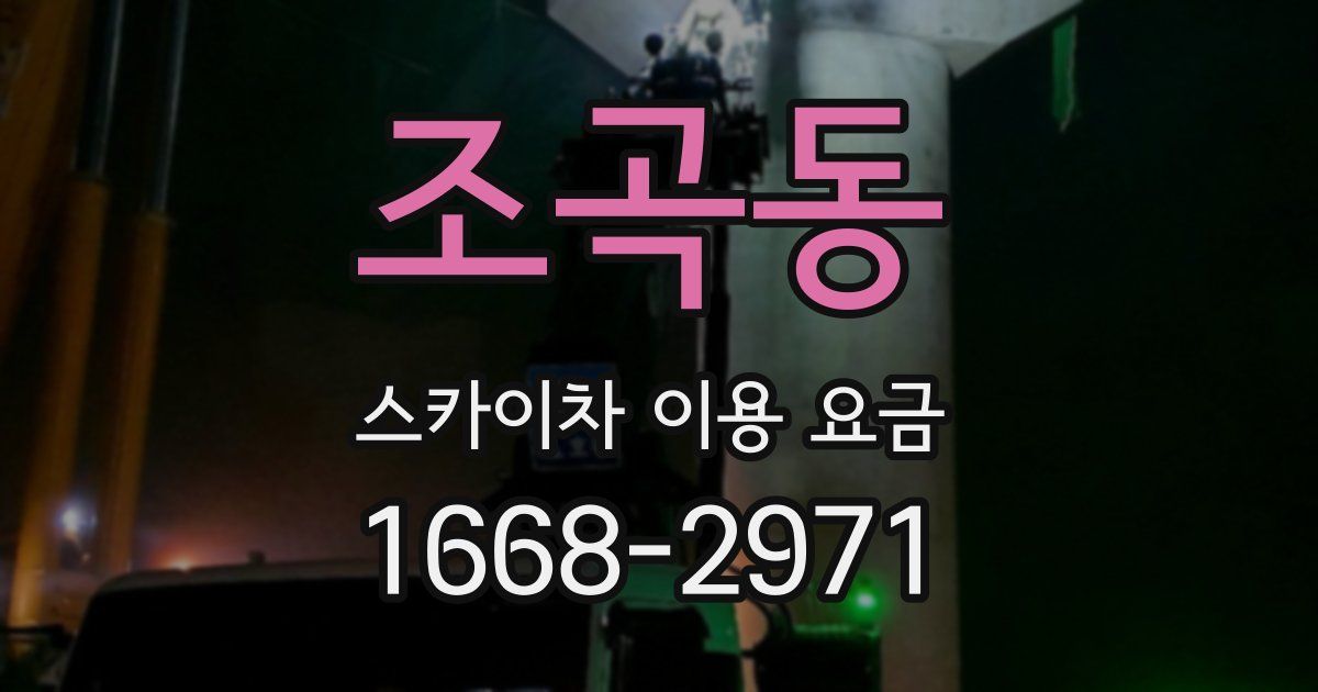 조곡동 스카이차 이용 요금