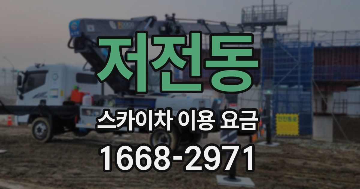 저전동 스카이차 이용 요금
