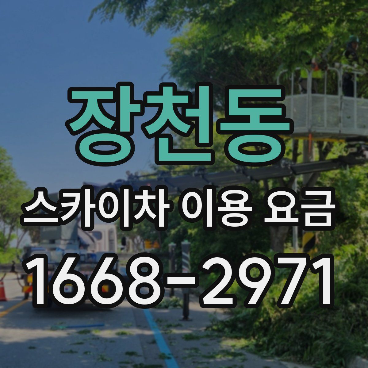장천동 스카이차 이용 요금