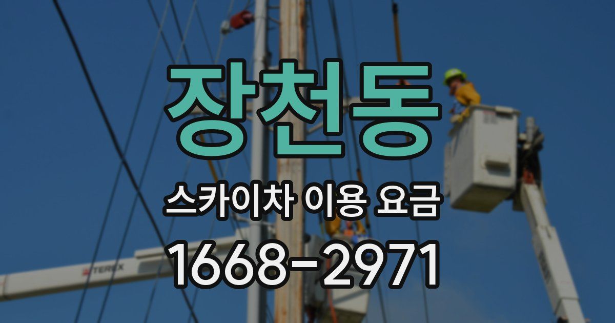 장천동 스카이차 이용 요금