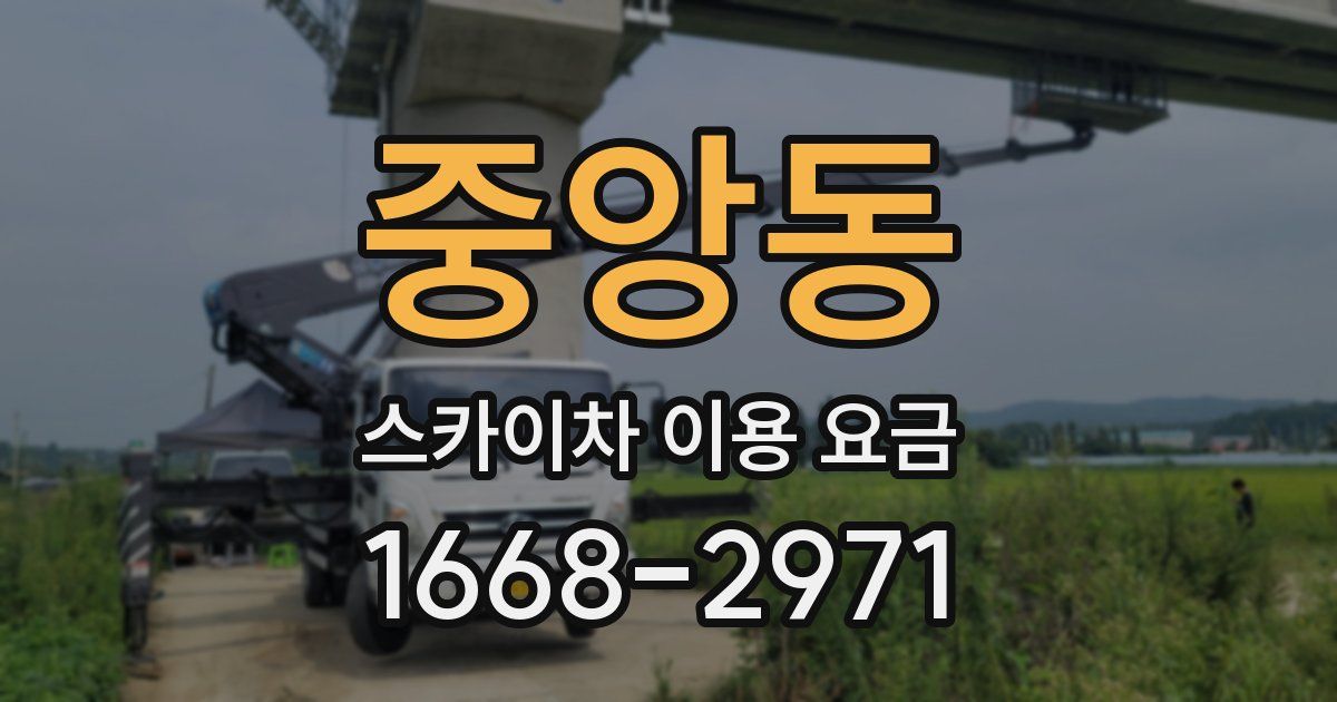 중앙동 스카이차 이용 요금