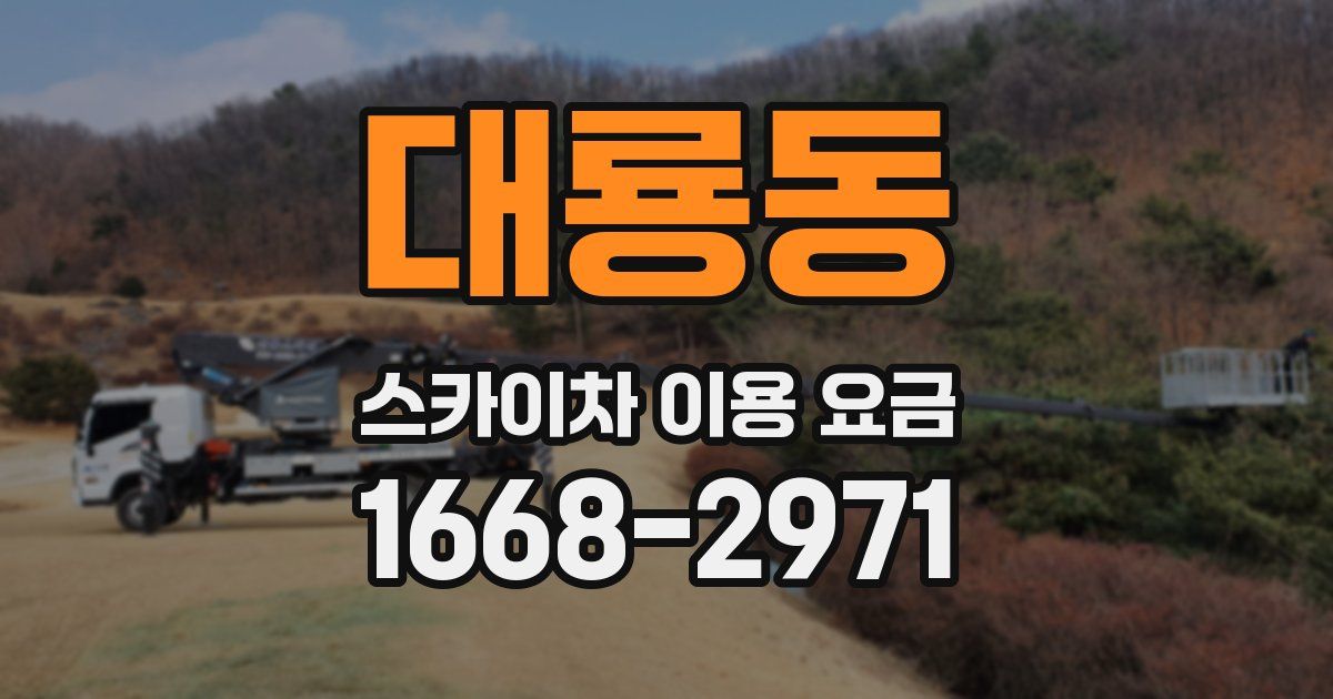 대룡동 스카이차 이용 요금