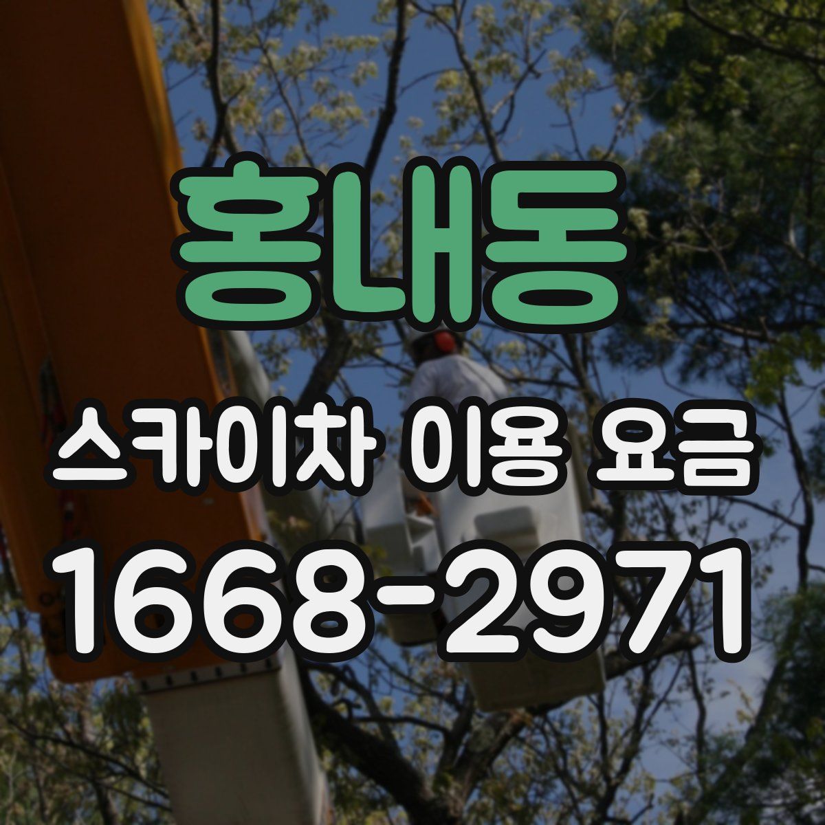 홍내동 스카이차 이용 요금
