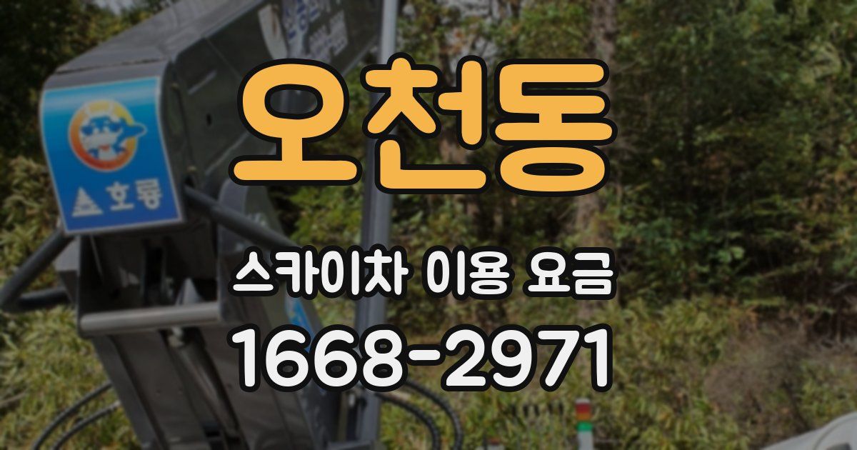 오천동 스카이차 이용 요금