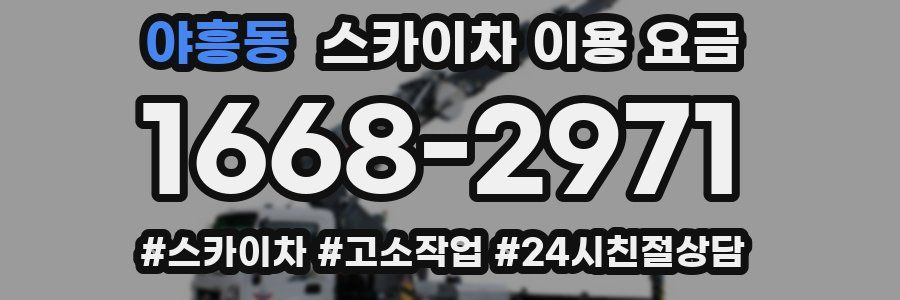 야흥동 스카이차 이용 요금