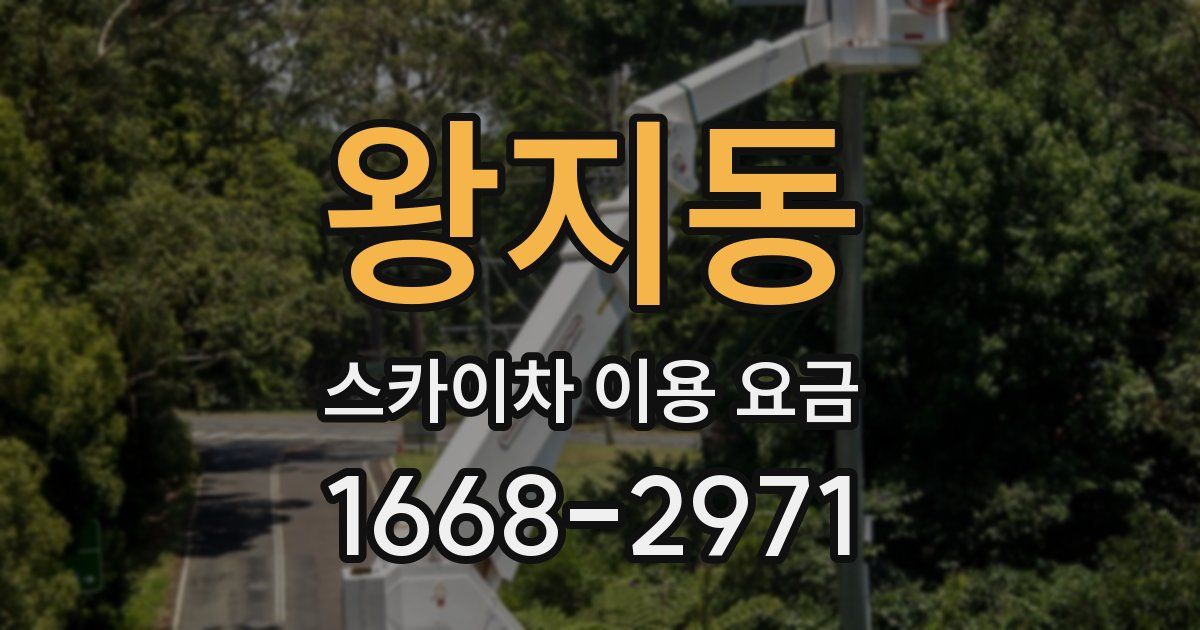 왕지동 스카이차 이용 요금