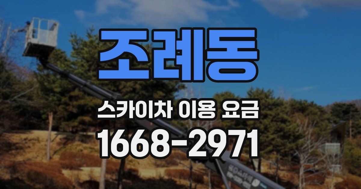 조례동 스카이차 이용 요금