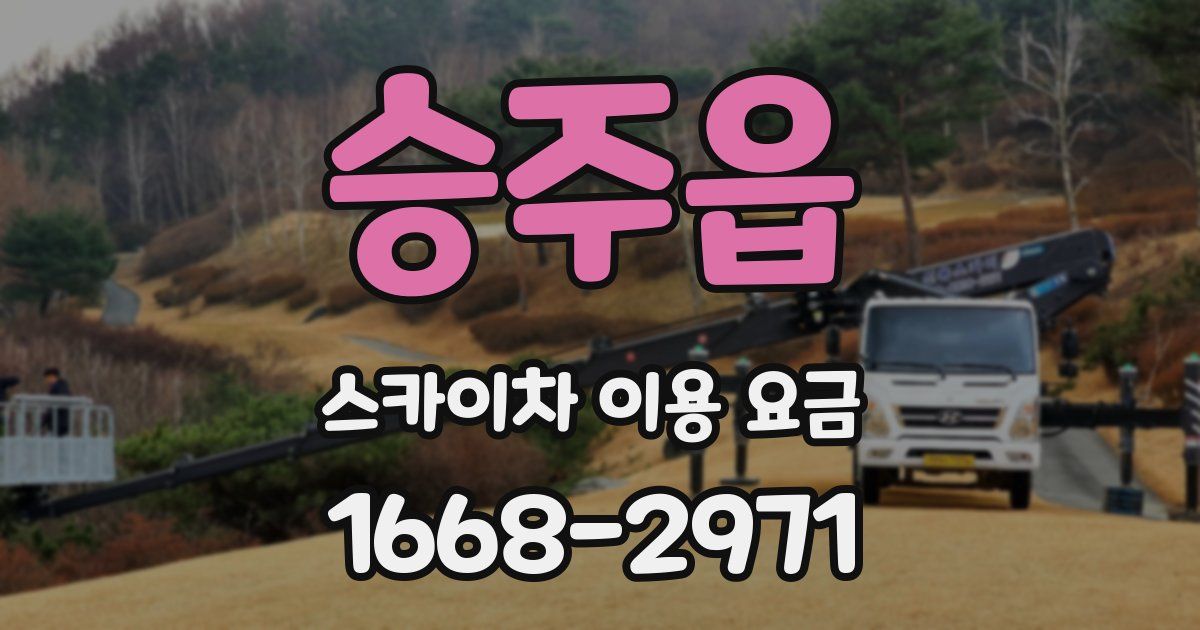 승주읍 스카이차 이용 요금