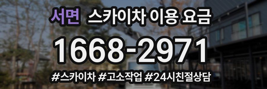서면 스카이차 이용 요금