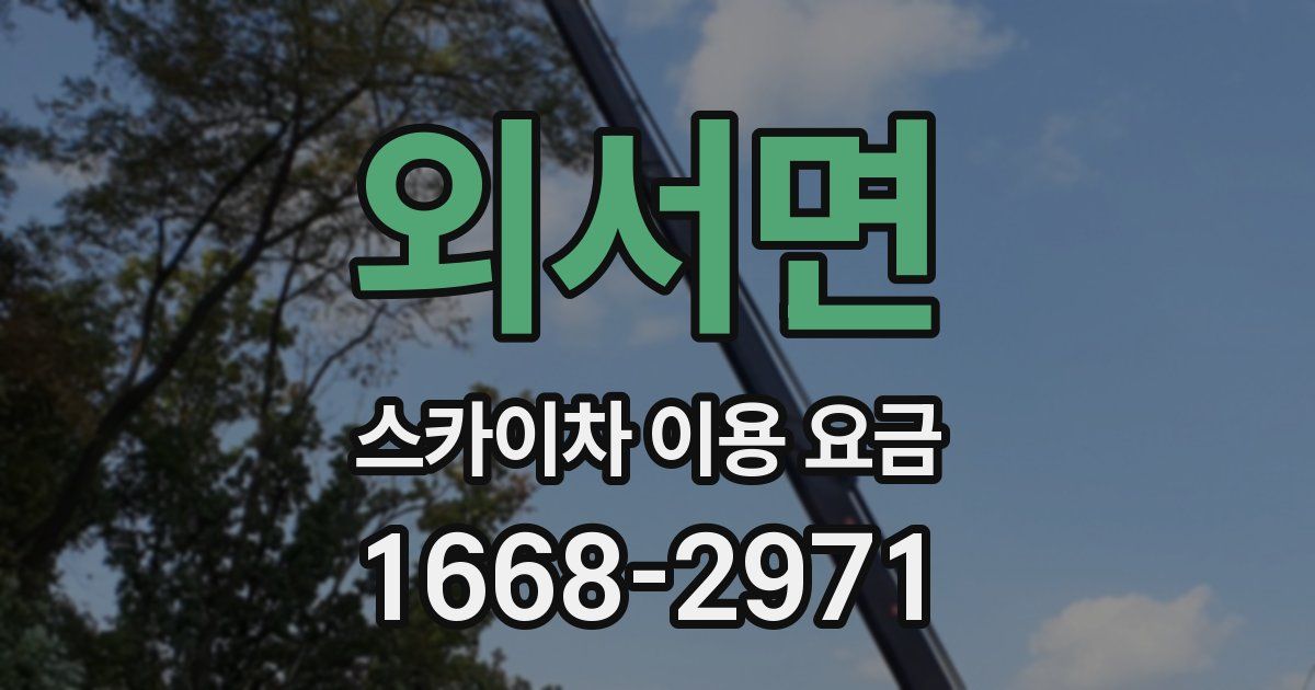 외서면 스카이차 이용 요금