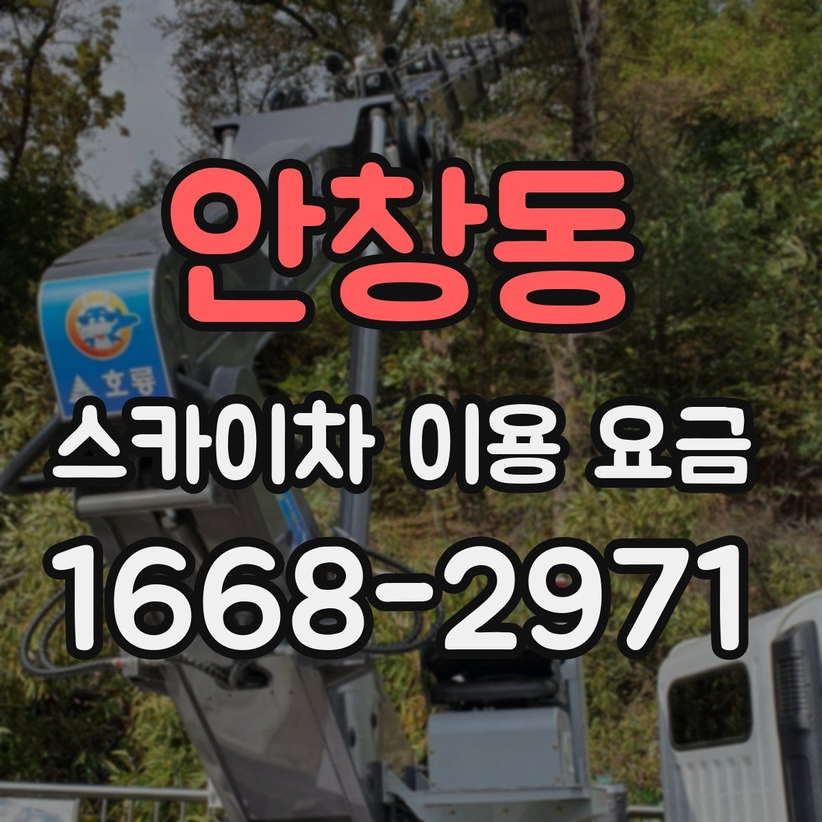 안창동 스카이차 이용 요금 선택 전에 확인할 안전 기준