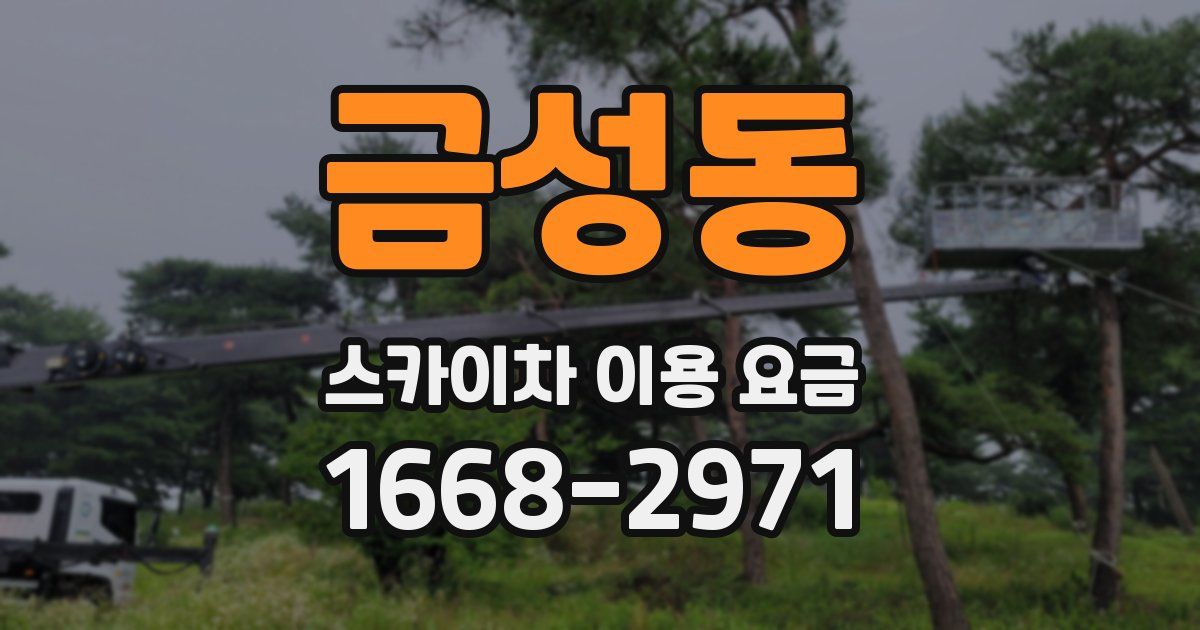 금성동 스카이차 이용 요금