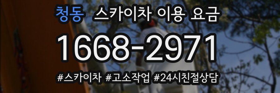 청동 스카이차 이용 요금