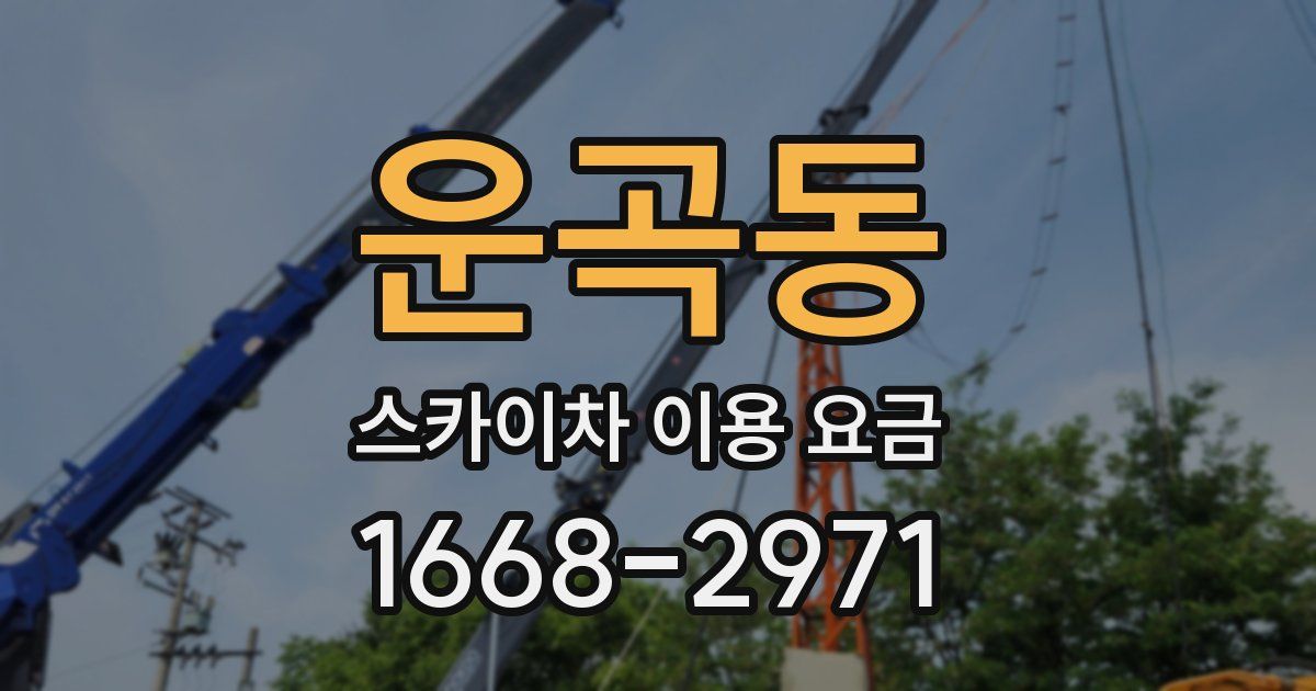 운곡동 스카이차 이용 요금