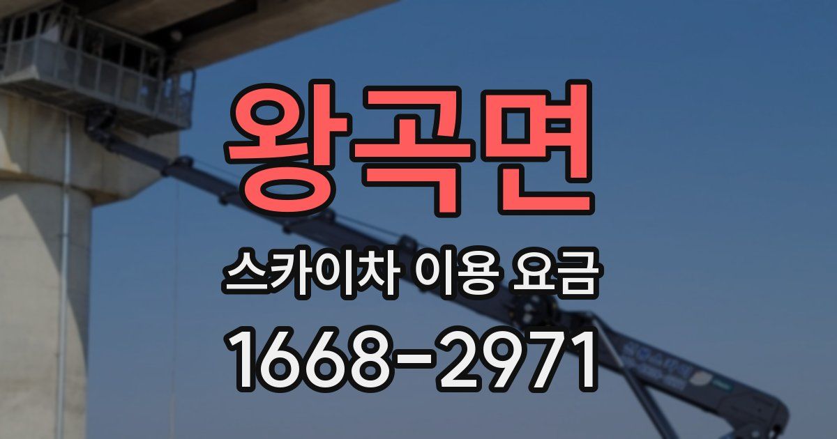 왕곡면 스카이차 이용 요금