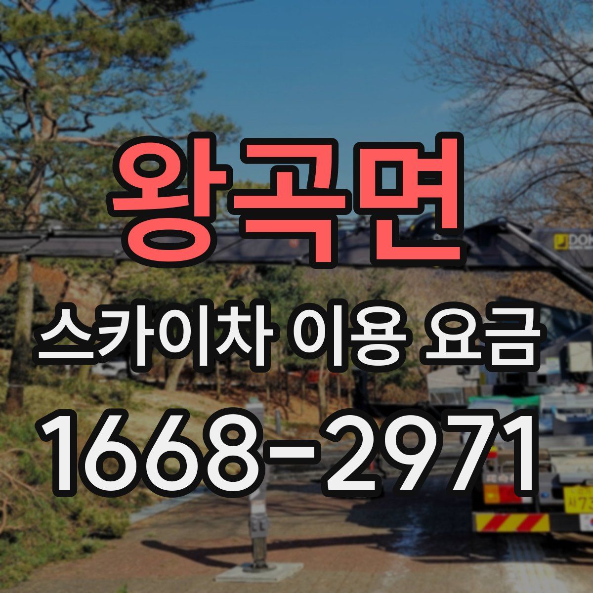 왕곡면 스카이차 이용 요금