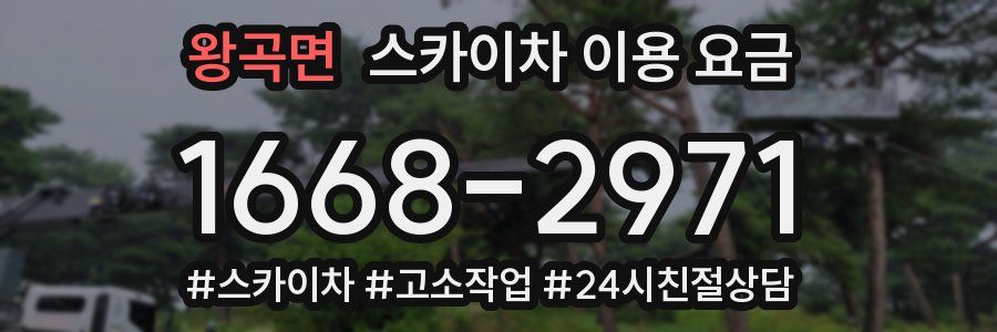 왕곡면 스카이차 이용 요금