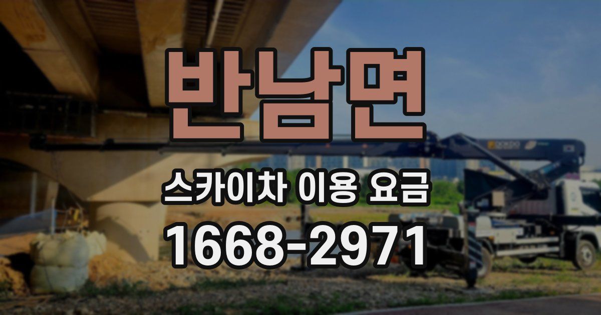 반남면 스카이차 이용 요금