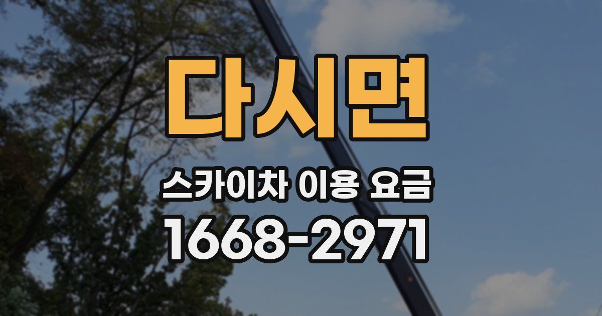 다시면 스카이차 이용 요금