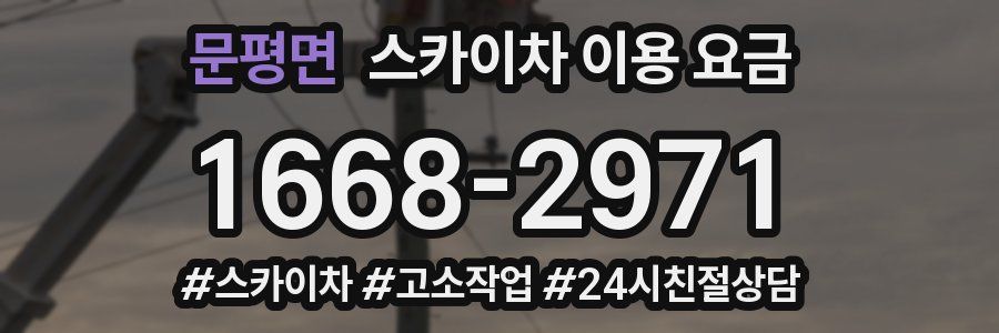 문평면 스카이차 이용 요금