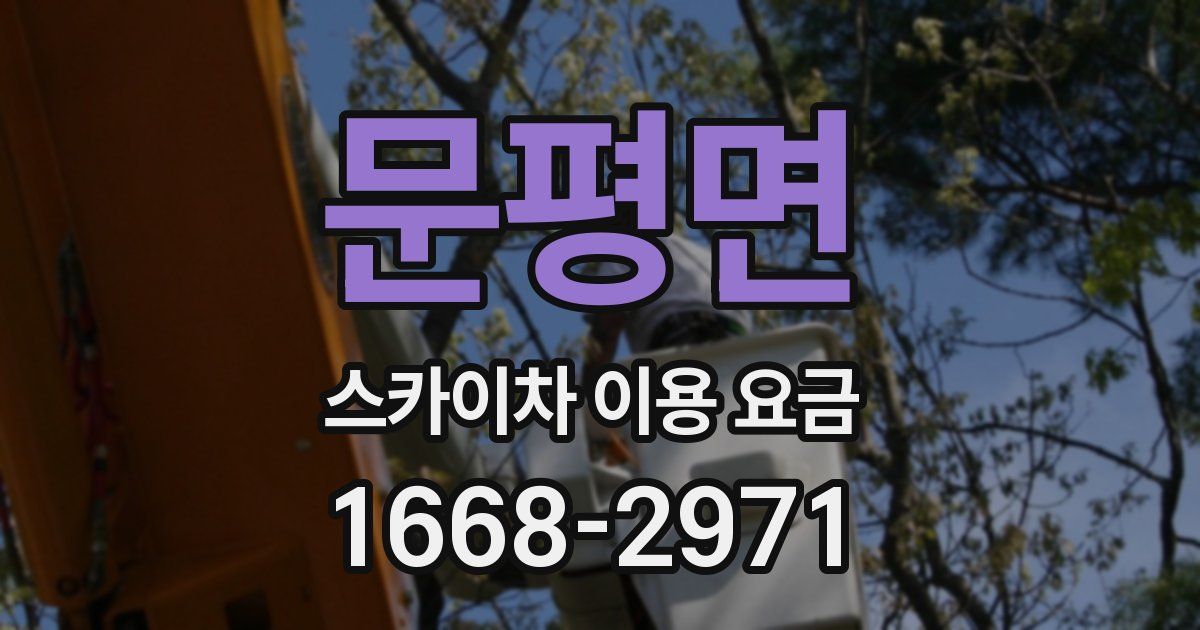 문평면 스카이차 이용 요금