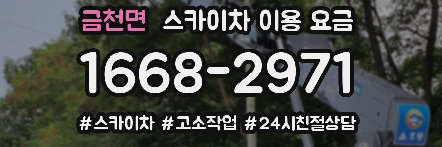 금천면 스카이차 이용 요금
