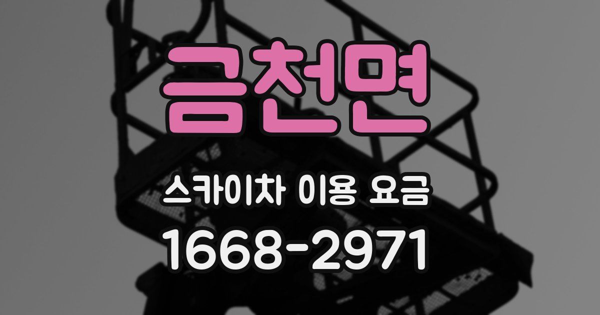 금천면 스카이차 이용 요금